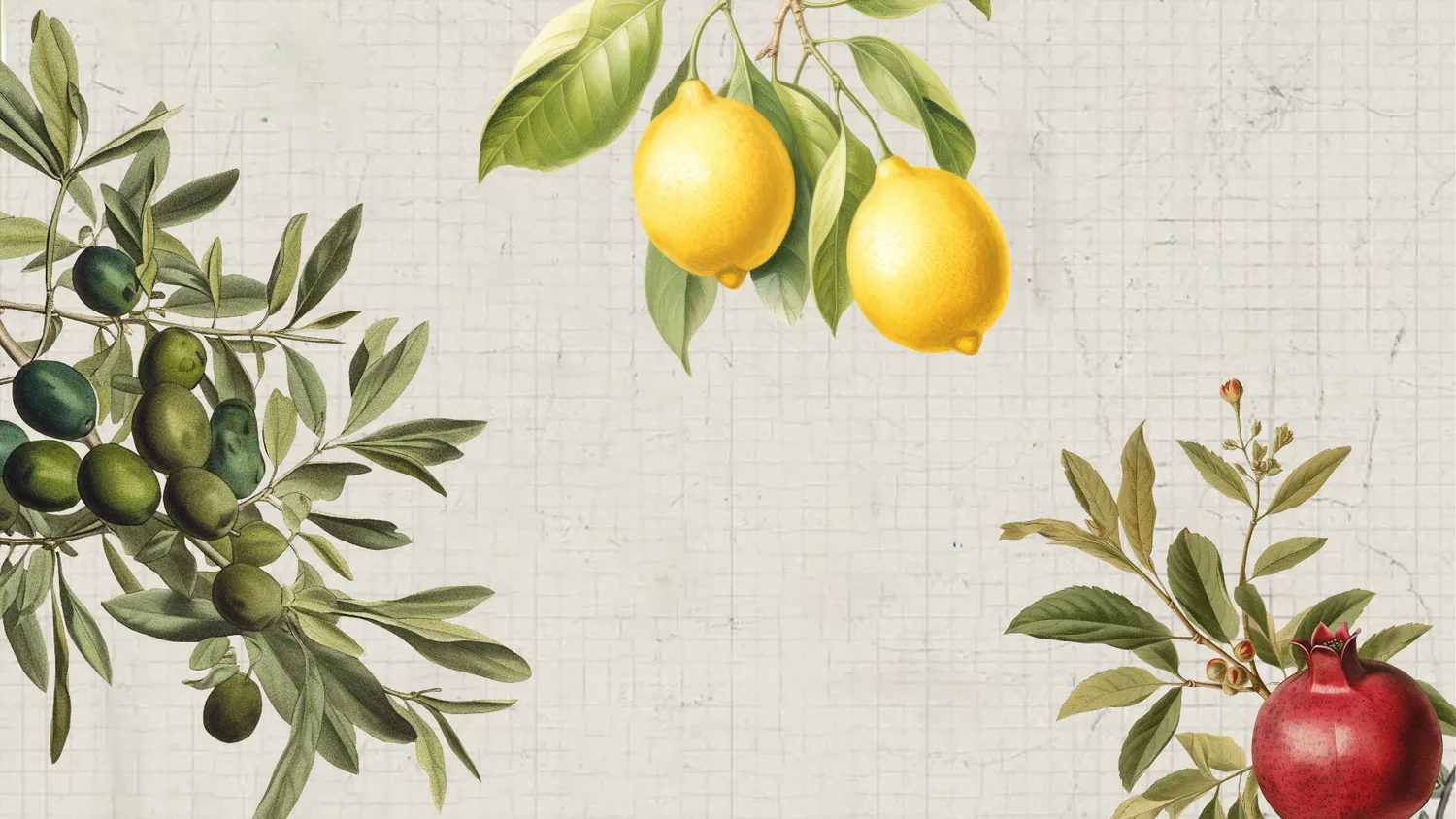 pizza a emporter cesson sevigne